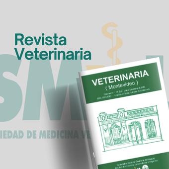 nuestros beneficios (10)