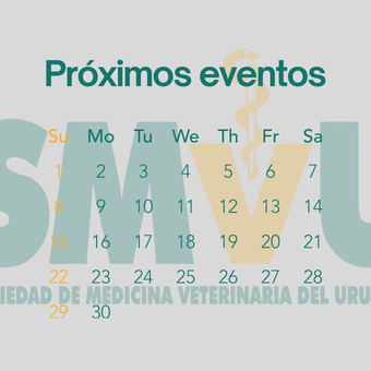 nuestros beneficios (12)