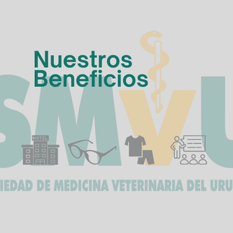 nuestros beneficios (9)